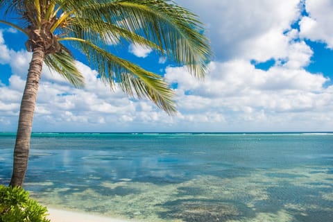 On the beach, sun loungers, beach towels