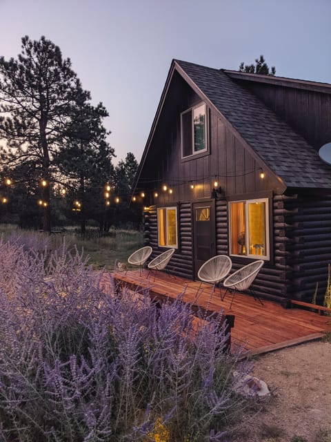 Garden lights make the evenings magical