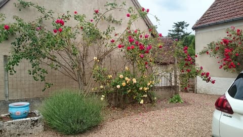 External view of the building