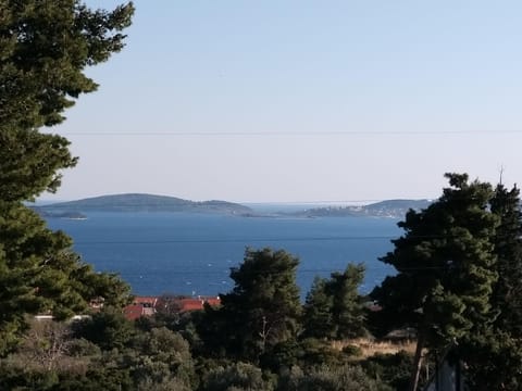 View from the window