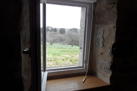 View from the window