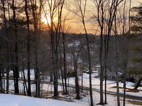 Views from the back patio. 