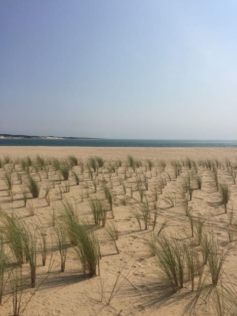 On the beach