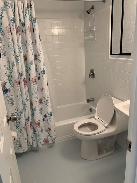 Combined shower/tub, hair dryer