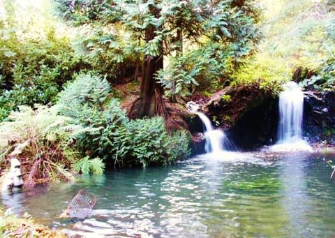 Waterfalls in fuller flow