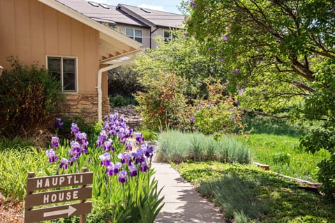 Walkway to entrance of Hauptli House