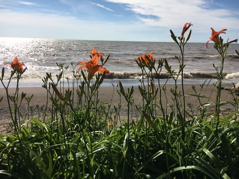 Beach nearby, sun loungers, beach towels