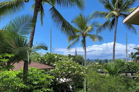 View from lanai