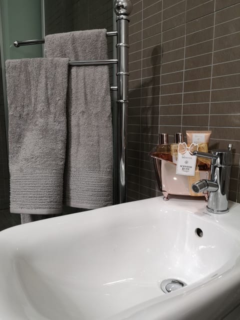 Bathtub, hair dryer, bidet, towels