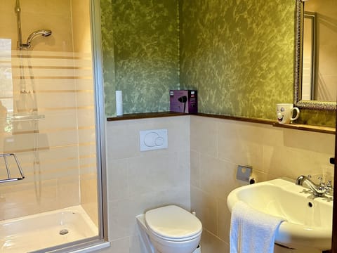 Combined shower/tub, jetted tub, hair dryer, towels