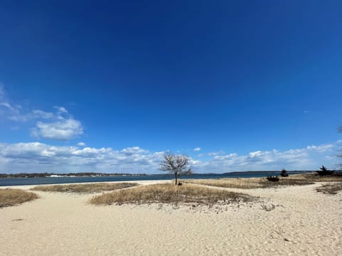 Beach nearby, sun loungers, beach towels