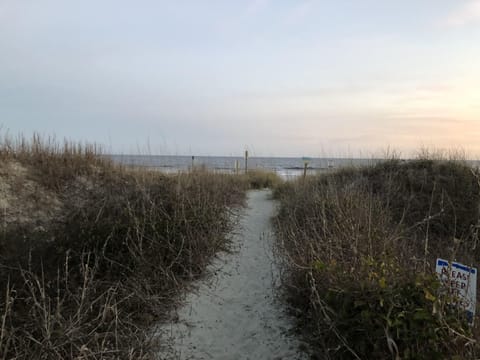 Beach nearby, sun loungers