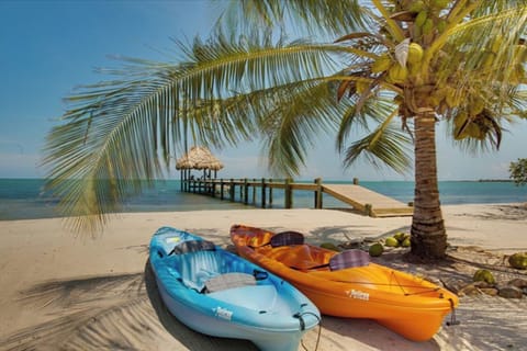 On the beach, sun loungers, beach towels