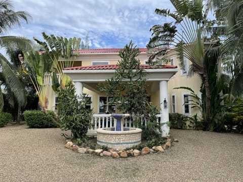 Villa Tipsy Gecko Front