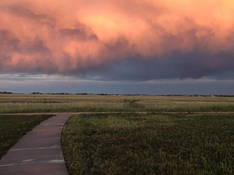Walking path to Wolf Lake