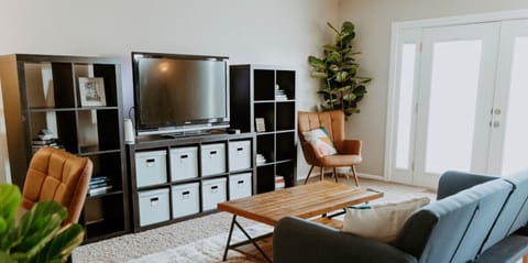 Living area | TV, fireplace, toys, books