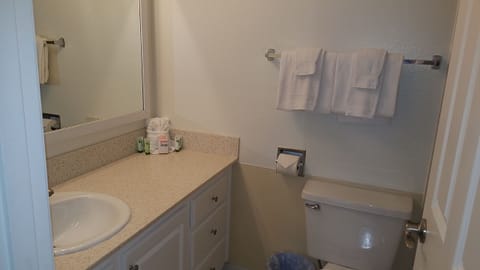 Combined shower/tub, hair dryer, towels, soap