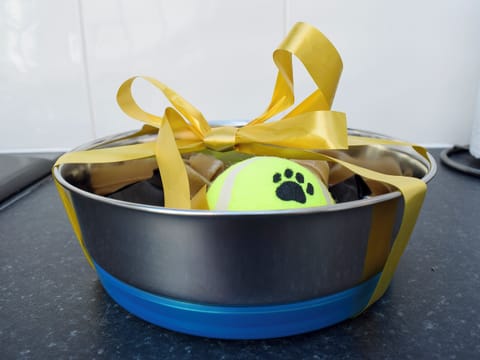 Dog friendly | St Cuthbert&rsquo;s Retreat, Wooler