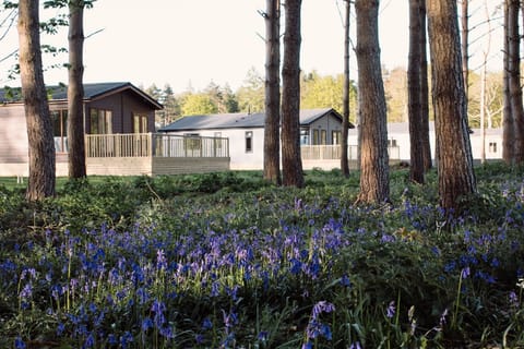 Lodges in Bluebells