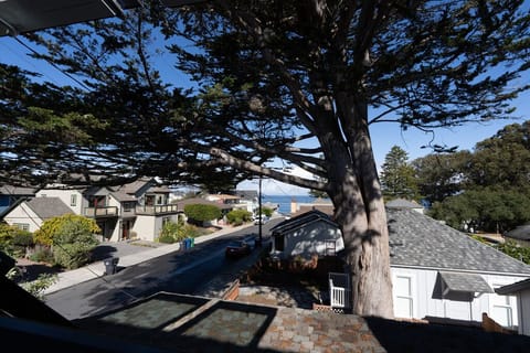 Primary Bedroom View