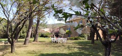 Outdoor banquet area