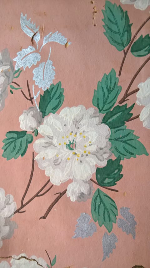 The original wallpaper in the closet!