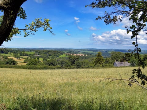 Surrounding area | Gamekeepers Cottage, Newchapel, near Cardigan