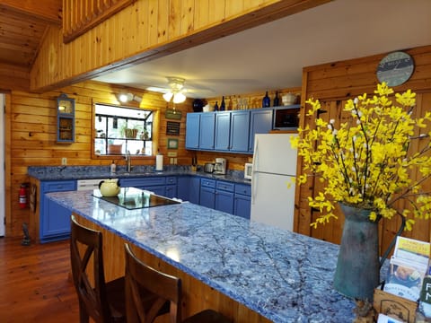 Kitchen features premium Vicostone quartz countertops and custom blue cabinets. 
