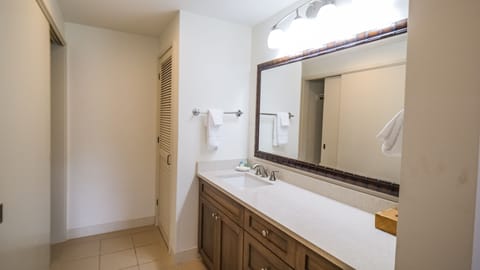 Combined shower/tub, jetted tub, hair dryer, towels