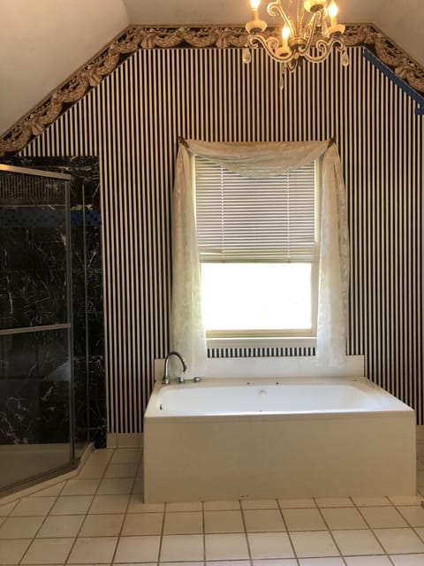 Combined shower/tub, jetted tub, hair dryer, towels