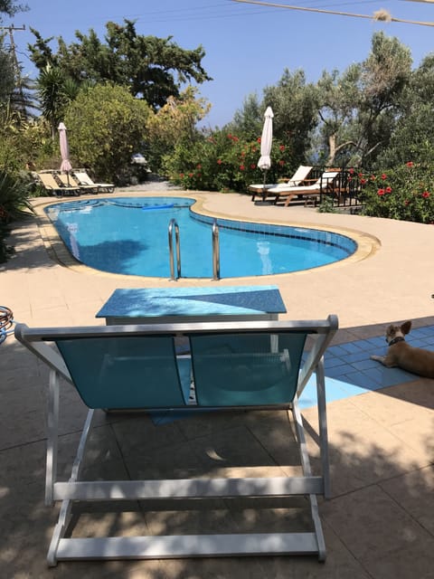 Enough space for social distancing