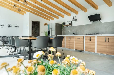 Outdoor covered terrace with kitchenette, grill, dining area and TV