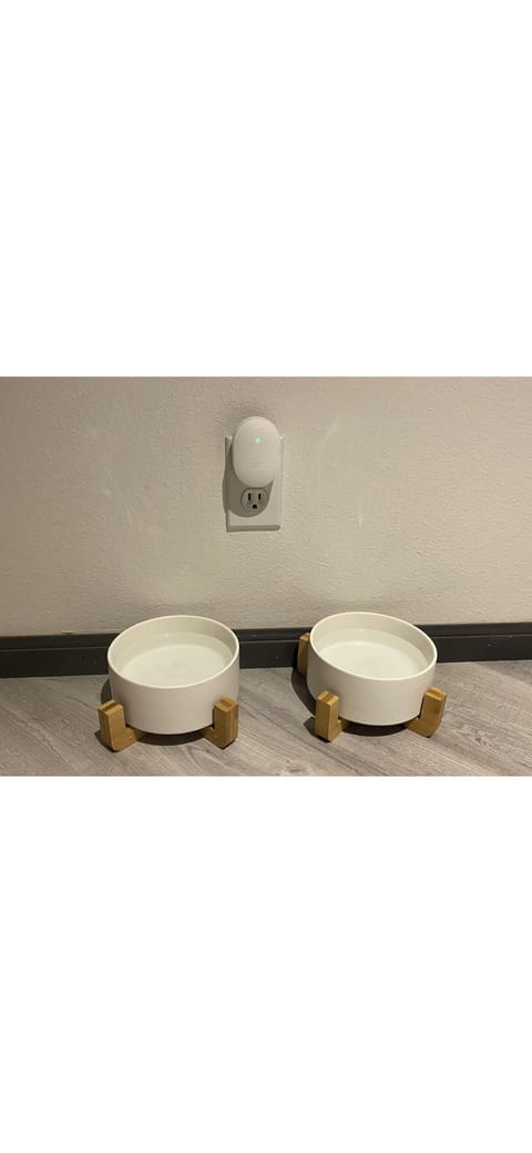 Dedicated dog dishes in kitchen