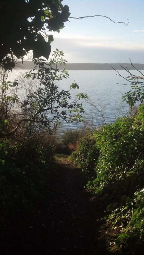Stairs at the beach.
