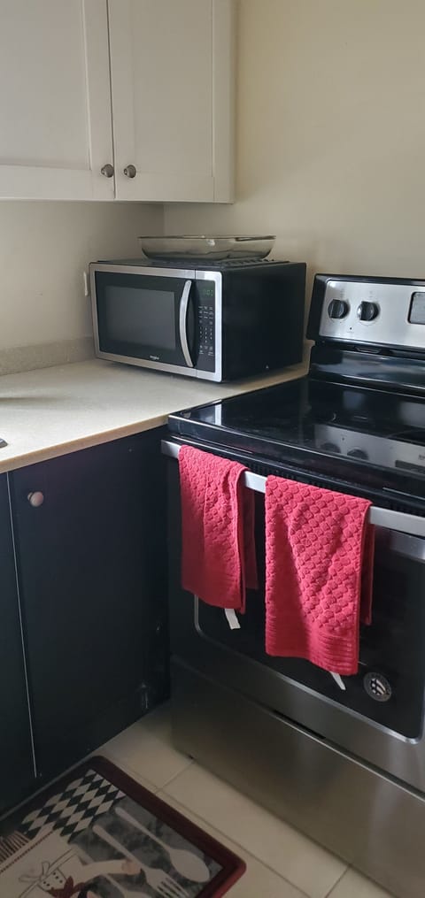 Full-size fridge, microwave, oven, stovetop