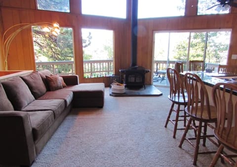 TV, fireplace, books