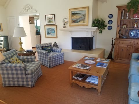 TV, fireplace, books