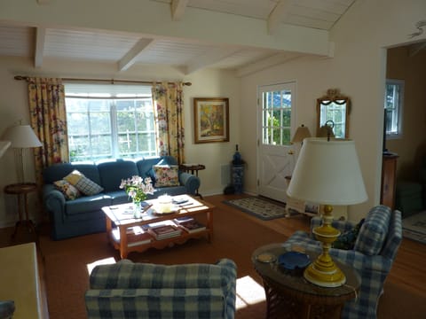 TV, fireplace, books