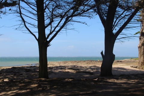 On the beach