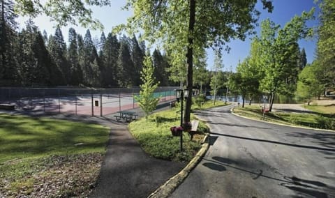 Sport court