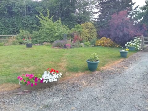 Garden with entrance drive