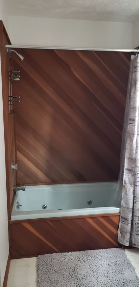 Combined shower/tub, jetted tub, hair dryer, towels