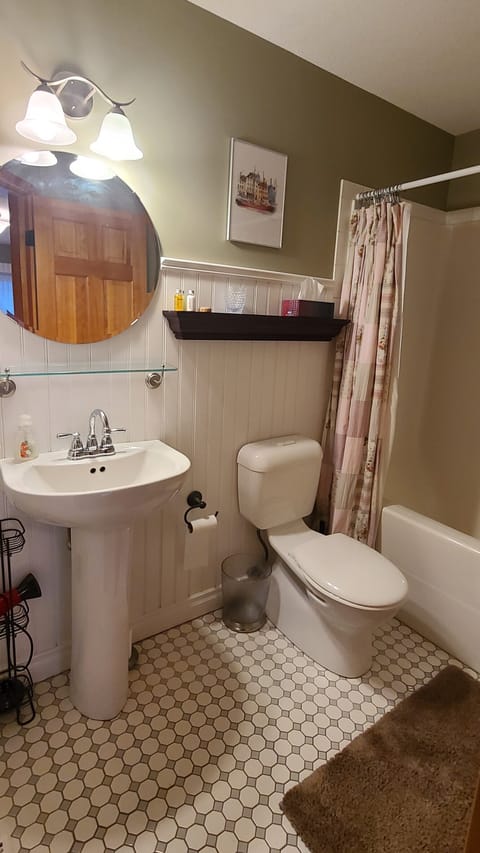 Combined shower/tub, hair dryer, towels, soap