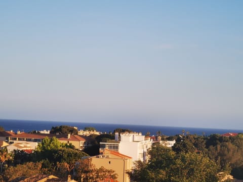 Beach/ocean view