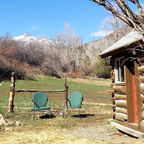 Backdoor with views of Mt. Lamborn 