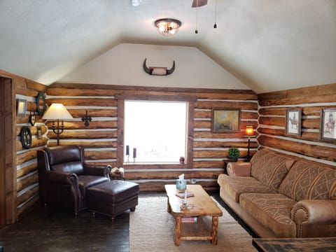 Living area, sofa sleeper has new memory foam mattress
