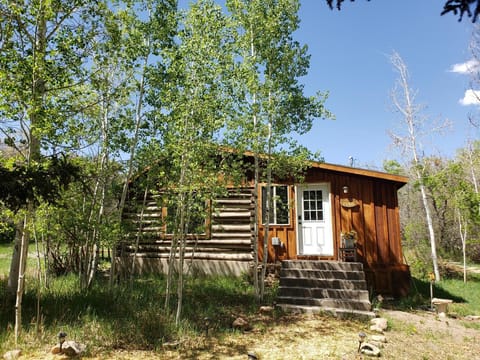 Exterior of Needle Rock Cabin