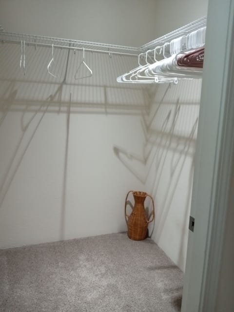Spacious master bedroom suite walk in closet.