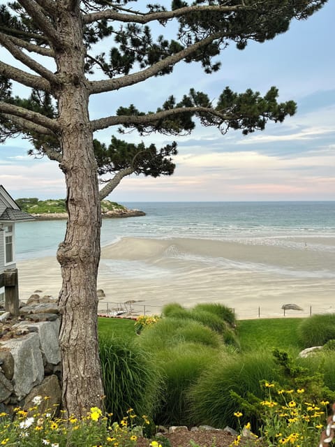 Beach nearby, sun loungers, beach towels