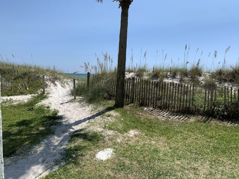 View from back porch! The beach is in your backyard!